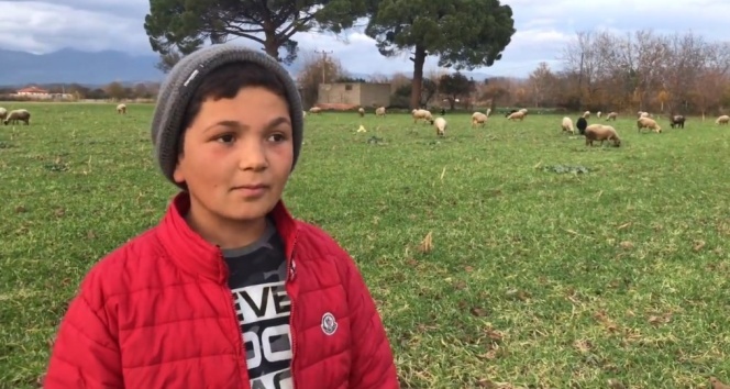 Küçük çoban videolarındaki diyalogları ile sosyal medyanın yeni fenomeni oldu
